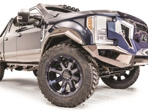 17+ FRD SD OPN FN FLARE